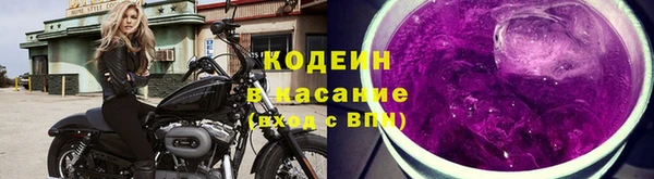 спиды Богородицк