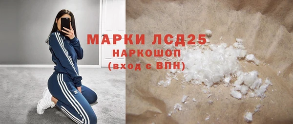 спиды Богородицк