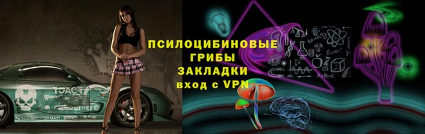 крисы Богородск