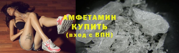 спиды Богородицк