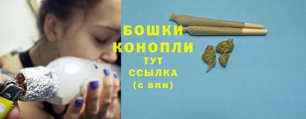 спиды Богородицк