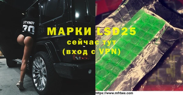 спиды Богородицк