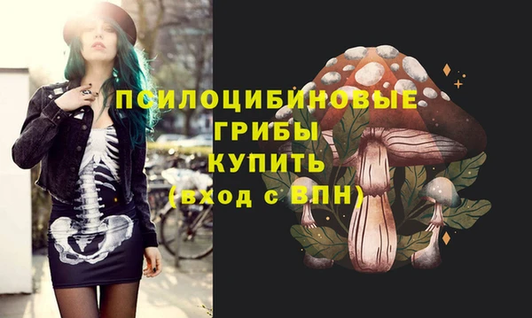 скорость Богданович