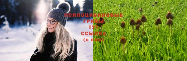 дурь Белокуриха